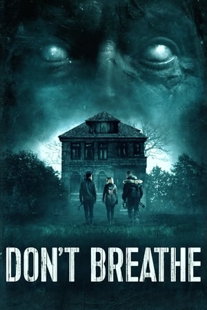 Don&#039;t Breathe (2016) Hindi Dual Audio 480p BluRay 300MB