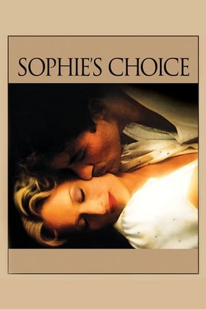 Sophie&#039;s Choice (1982) Dual Audio Hindi 480p BluRay 460MB